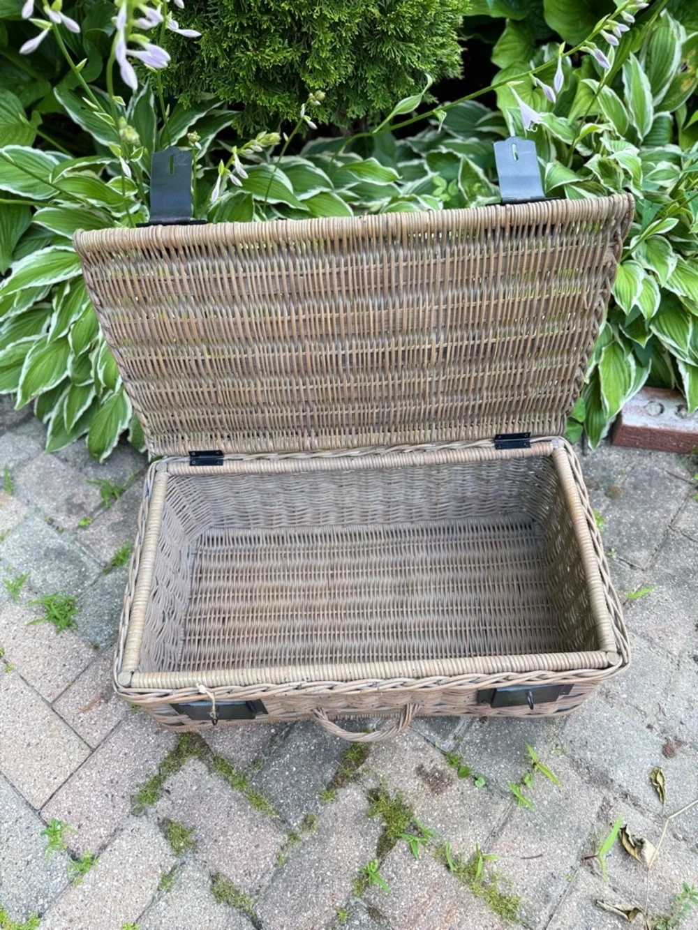 Pottery Barn Wicker Storage Trunk